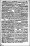 Dublin Weekly Nation Saturday 01 September 1883 Page 9