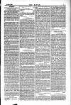 Dublin Weekly Nation Saturday 01 December 1883 Page 7