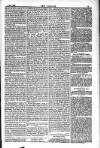 Dublin Weekly Nation Saturday 01 December 1883 Page 11