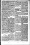 Dublin Weekly Nation Saturday 15 December 1883 Page 11