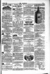 Dublin Weekly Nation Saturday 22 December 1883 Page 15