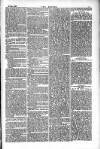 Dublin Weekly Nation Saturday 29 December 1883 Page 3