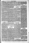 Dublin Weekly Nation Saturday 26 January 1884 Page 11