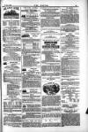 Dublin Weekly Nation Saturday 26 January 1884 Page 15