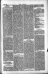 Dublin Weekly Nation Saturday 02 February 1884 Page 7