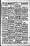 Dublin Weekly Nation Saturday 02 February 1884 Page 11