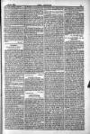 Dublin Weekly Nation Saturday 01 March 1884 Page 11