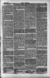 Dublin Weekly Nation Saturday 15 March 1884 Page 7