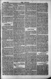 Dublin Weekly Nation Saturday 15 March 1884 Page 11