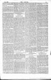 Dublin Weekly Nation Saturday 02 August 1884 Page 11