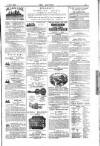 Dublin Weekly Nation Saturday 13 December 1884 Page 15