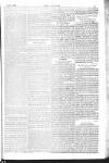 Dublin Weekly Nation Saturday 10 January 1885 Page 11