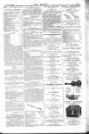 Dublin Weekly Nation Saturday 17 January 1885 Page 13