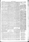 Dublin Weekly Nation Saturday 31 January 1885 Page 11