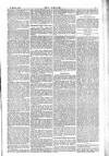 Dublin Weekly Nation Saturday 21 March 1885 Page 3