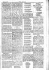 Dublin Weekly Nation Saturday 28 March 1885 Page 11