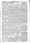 Dublin Weekly Nation Saturday 25 April 1885 Page 5