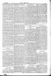 Dublin Weekly Nation Saturday 02 May 1885 Page 11