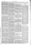 Dublin Weekly Nation Saturday 23 May 1885 Page 3