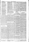 Dublin Weekly Nation Saturday 23 May 1885 Page 11