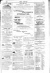 Dublin Weekly Nation Saturday 06 June 1885 Page 15