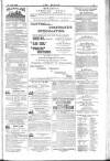 Dublin Weekly Nation Saturday 25 July 1885 Page 15