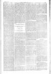 Dublin Weekly Nation Saturday 31 October 1885 Page 7