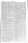 Dublin Weekly Nation Saturday 14 November 1885 Page 7