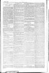Dublin Weekly Nation Saturday 28 November 1885 Page 7