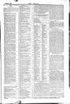Dublin Weekly Nation Saturday 26 December 1885 Page 5