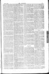Dublin Weekly Nation Saturday 27 February 1886 Page 11