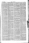 Dublin Weekly Nation Saturday 20 March 1886 Page 11