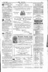 Dublin Weekly Nation Saturday 17 April 1886 Page 15