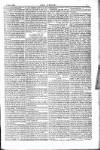 Dublin Weekly Nation Saturday 24 April 1886 Page 7