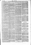 Dublin Weekly Nation Saturday 08 May 1886 Page 11