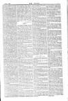 Dublin Weekly Nation Saturday 19 February 1887 Page 7