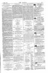 Dublin Weekly Nation Saturday 14 May 1887 Page 13