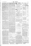 Dublin Weekly Nation Saturday 11 February 1888 Page 13