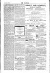 Dublin Weekly Nation Saturday 31 March 1888 Page 13