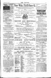 Dublin Weekly Nation Saturday 14 April 1888 Page 15