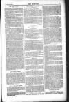 Dublin Weekly Nation Saturday 05 January 1889 Page 11