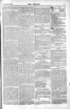 Dublin Weekly Nation Saturday 23 February 1889 Page 13