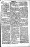 Dublin Weekly Nation Saturday 09 March 1889 Page 7