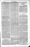Dublin Weekly Nation Saturday 12 October 1889 Page 7