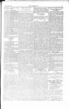 Dublin Weekly Nation Saturday 11 July 1896 Page 13