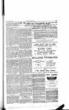 Dublin Weekly Nation Saturday 09 January 1897 Page 10