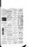 Dublin Weekly Nation Saturday 09 January 1897 Page 11