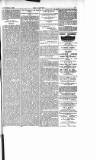 Dublin Weekly Nation Saturday 27 February 1897 Page 8