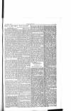 Dublin Weekly Nation Saturday 06 March 1897 Page 5