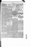 Dublin Weekly Nation Saturday 27 March 1897 Page 11